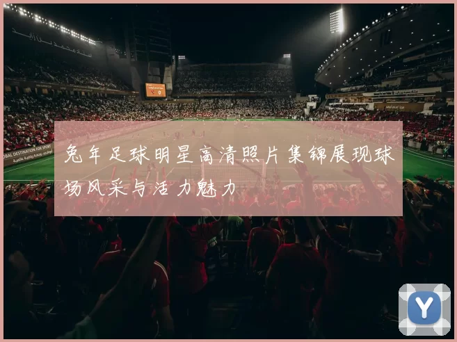 兔年足球明星高清照片集锦展现球场风采与活力魅力