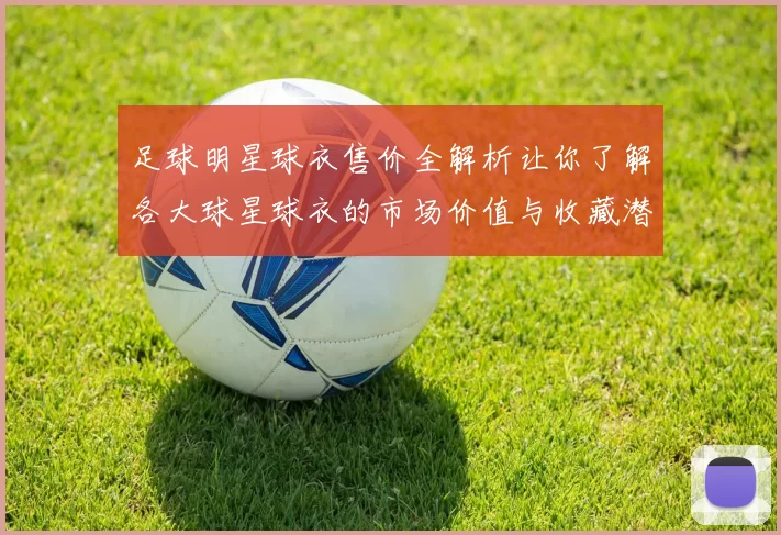 足球明星球衣售价全解析让你了解各大球星球衣的市场价值与收藏潜力