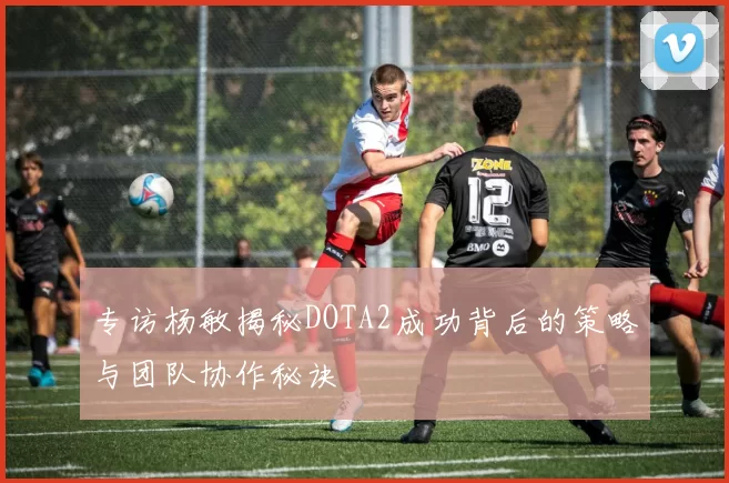 专访杨敏揭秘DOTA2成功背后的策略与团队协作秘诀