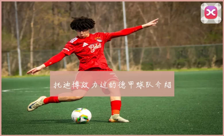 托迪博效力过的德甲球队介绍