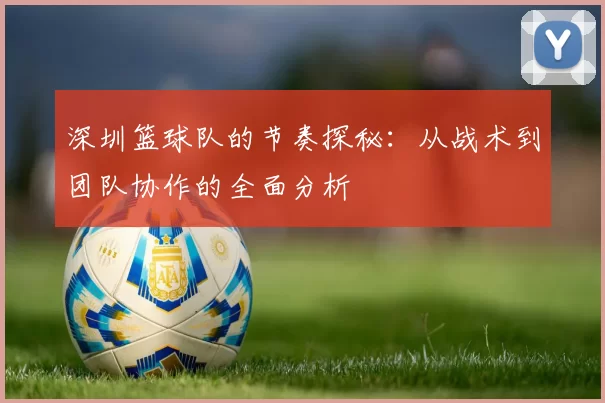 深圳篮球队的节奏探秘：从战术到团队协作的全面分析