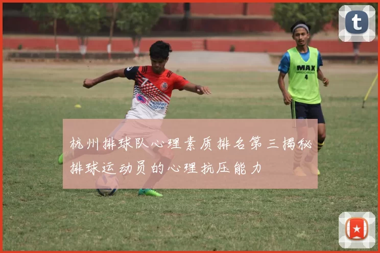 杭州排球队心理素质排名第三揭秘排球运动员的心理抗压能力