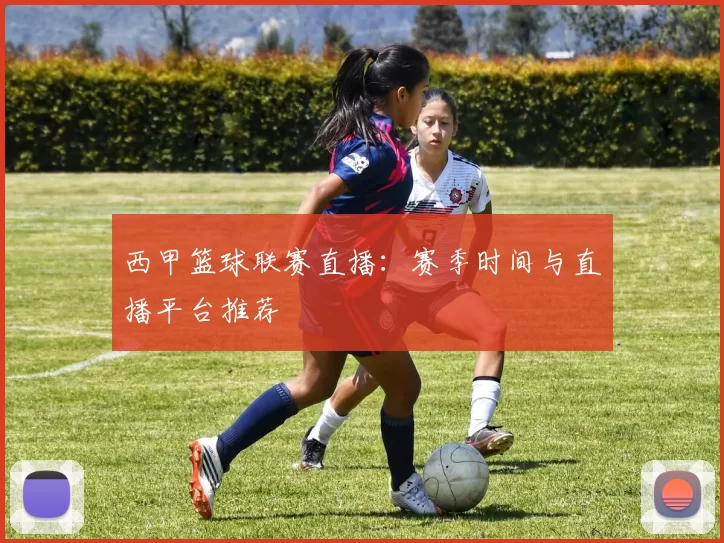 西甲篮球联赛直播：赛季时间与直播平台推荐