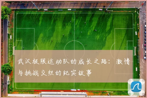 武汉极限运动队的成长之路：激情与挑战交织的纪实故事