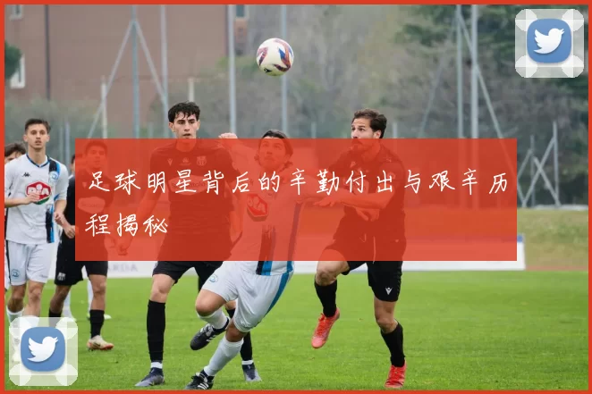 足球明星背后的辛勤付出与艰辛历程揭秘