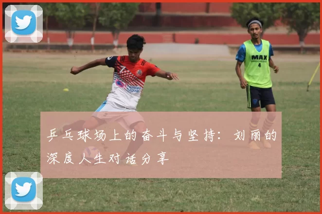 乒乓球场上的奋斗与坚持：刘丽的深度人生对话分享