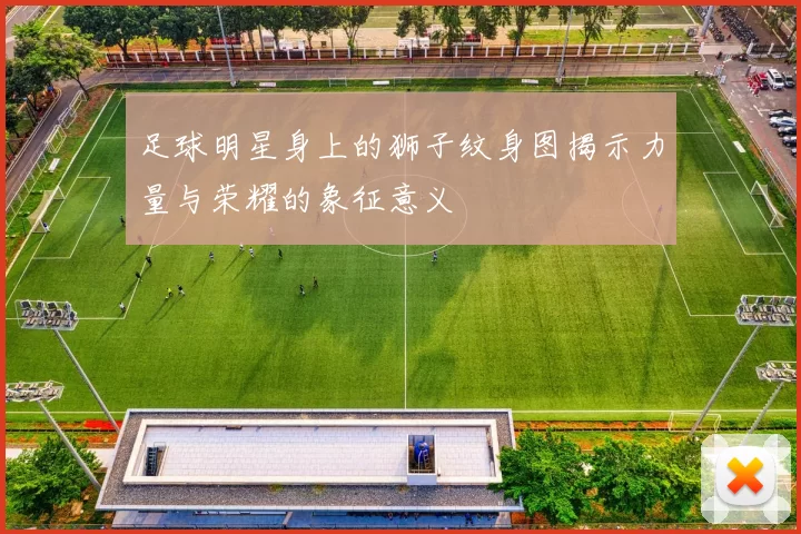 足球明星身上的狮子纹身图揭示力量与荣耀的象征意义
