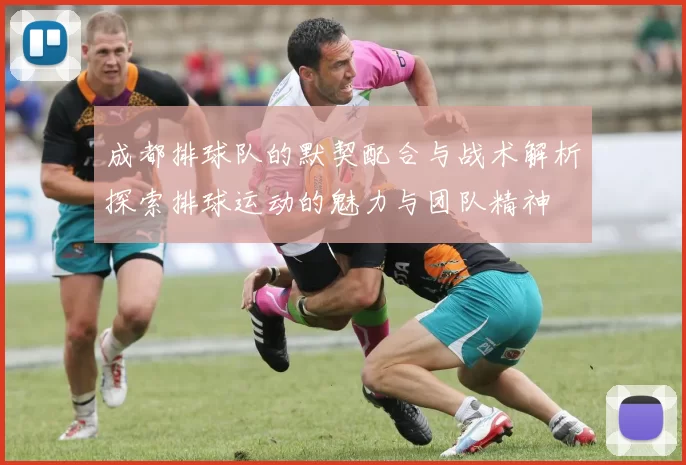 成都排球队的默契配合与战术解析探索排球运动的魅力与团队精神