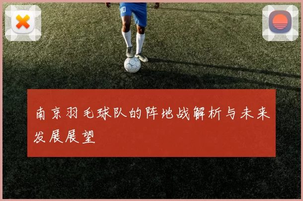 南京羽毛球队的阵地战解析与未来发展展望