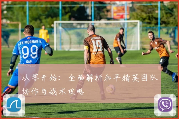 从零开始：全面解析和平精英团队协作与战术攻略