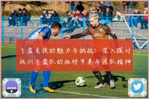 飞盘竞技的魅力与挑战：深入探讨杭州飞盘队的独特节奏与团队精神