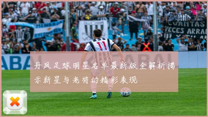 丹凤足球明星名单最新版全解析揭示新星与老将的精彩表现