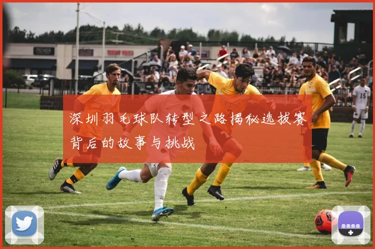 深圳羽毛球队转型之路揭秘选拔赛背后的故事与挑战