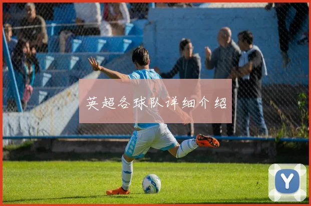 英超各球队详细介绍