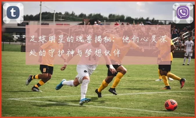 足球明星的魂兽揭秘：他们心灵深处的守护神与梦想伙伴