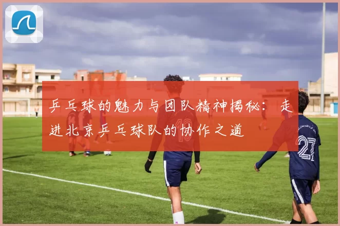 乒乓球的魅力与团队精神揭秘：走进北京乒乓球队的协作之道