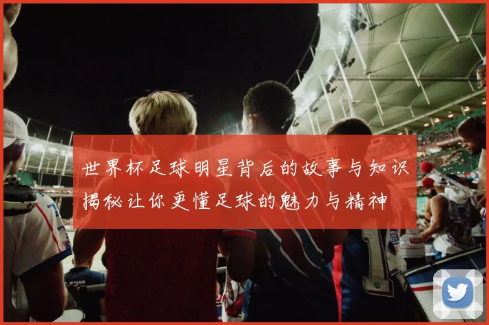 世界杯足球明星背后的故事与知识揭秘让你更懂足球的魅力与精神