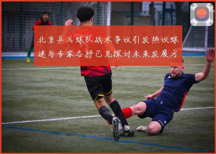 北京乒乓球队战术争议引发热议球迷与专家各抒己见探讨未来发展方向