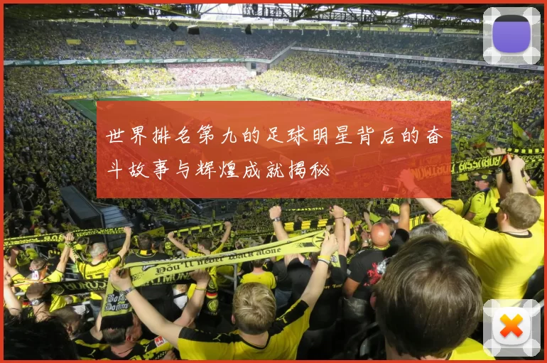 世界排名第九的足球明星背后的奋斗故事与辉煌成就揭秘