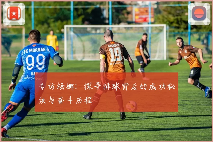 专访杨娜：探寻排球背后的成功秘诀与奋斗历程