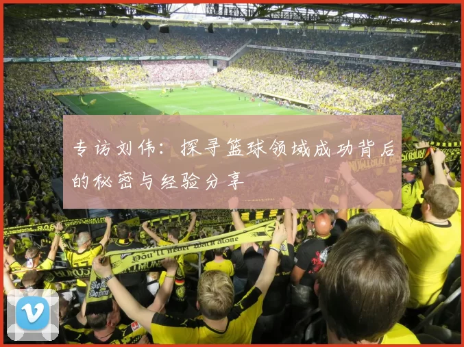 专访刘伟：探寻篮球领域成功背后的秘密与经验分享